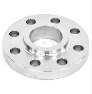 Stainless Steel F304 Flange